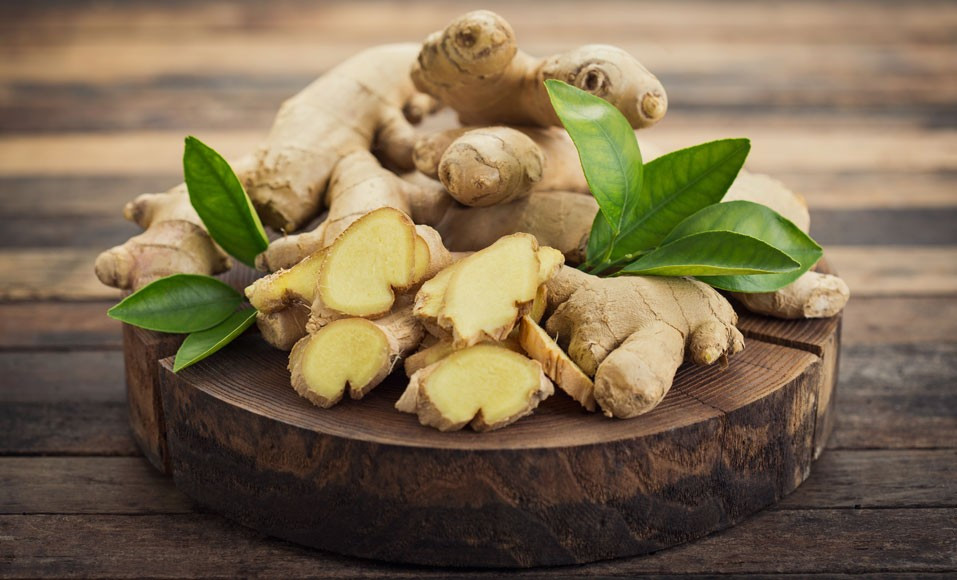 Gingembre