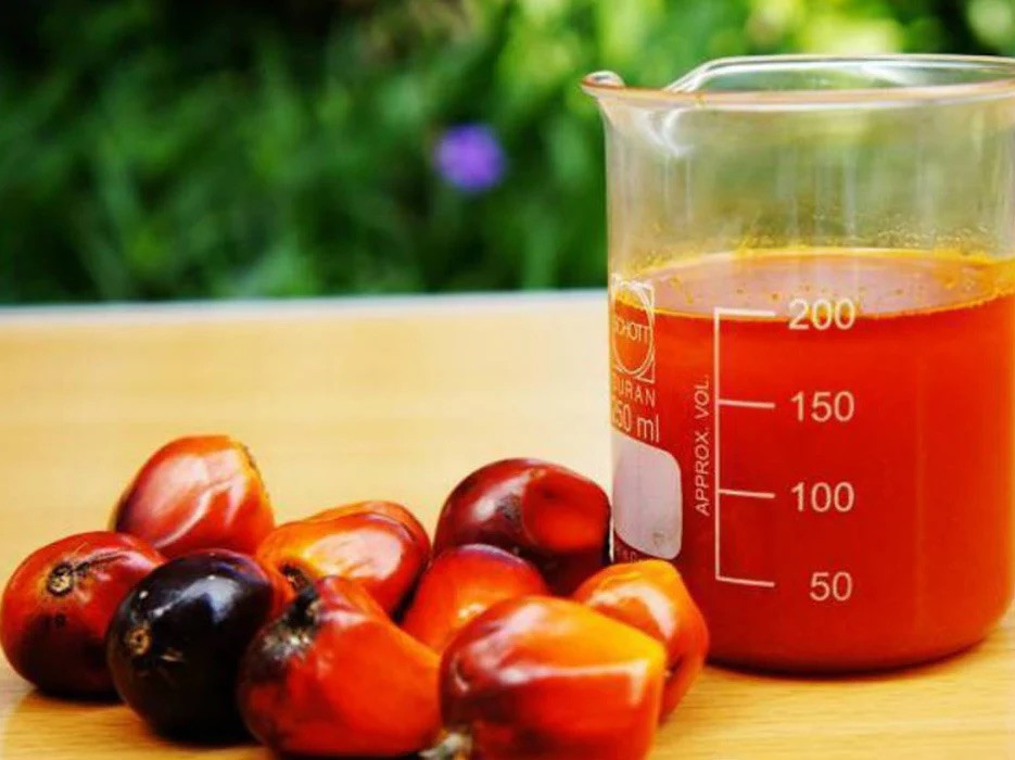 Huile de palme rouge